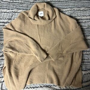 Aerie Beige Turtleneck Sweater